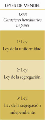 Tabla 1