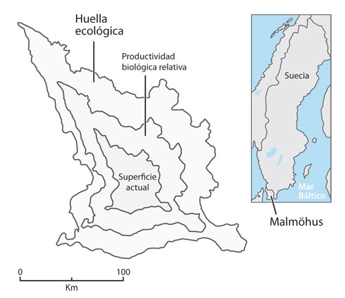 municipiosueco